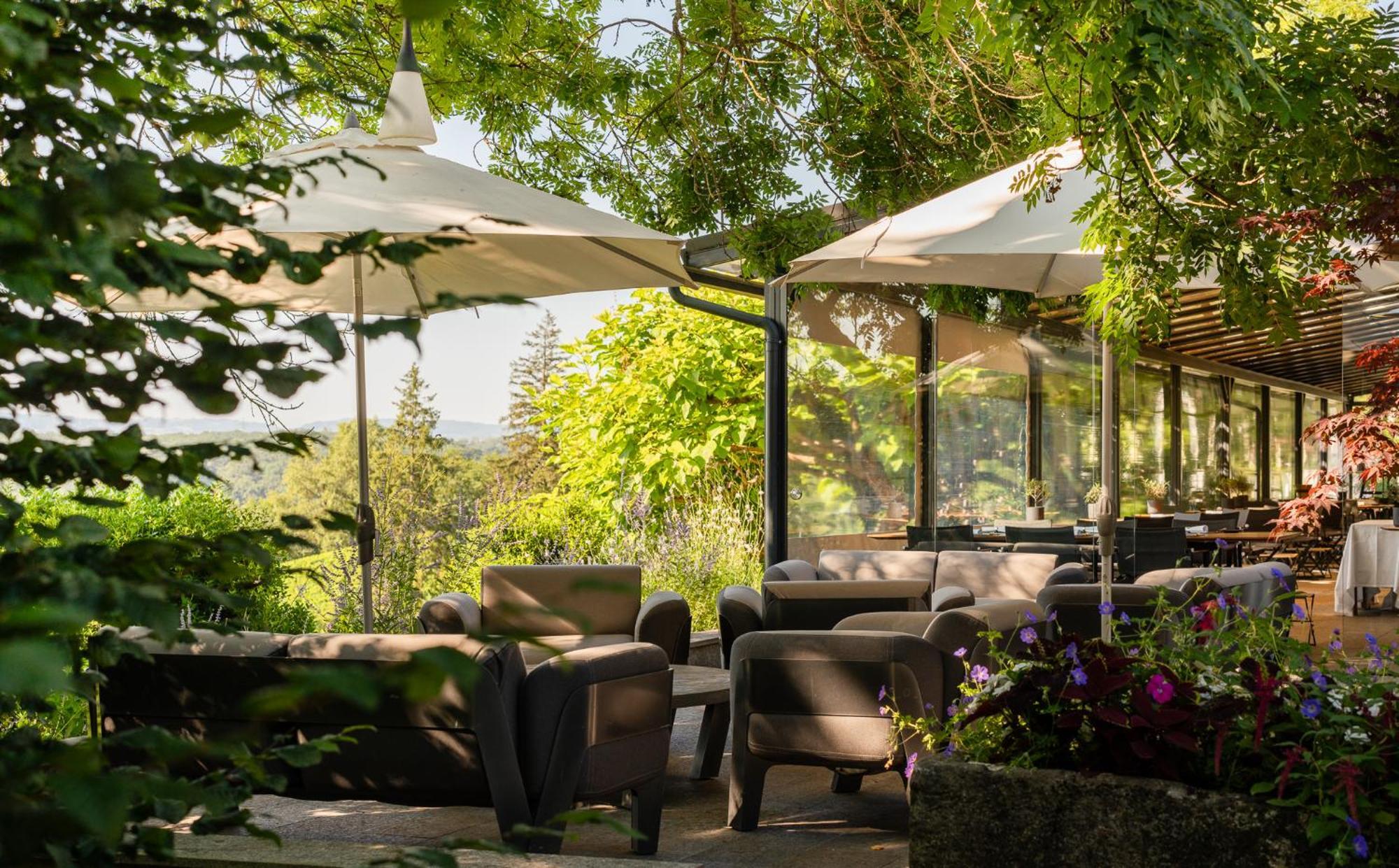 โดเมน เดอ ชาโตวิเยอ Hotel Peney Dessus ภายนอก รูปภาพ